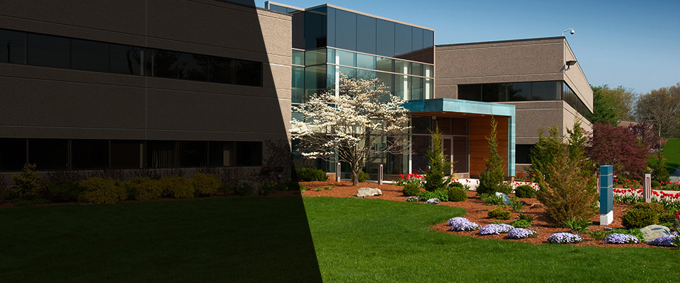 Mount Arlington Landscapers