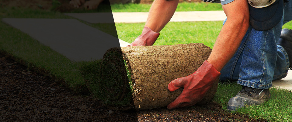 Mount Arlington Landscapers